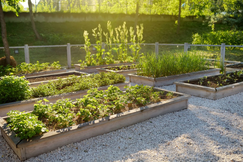 Végétalisation espace urbain