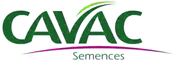 CAVAC SEMENCES