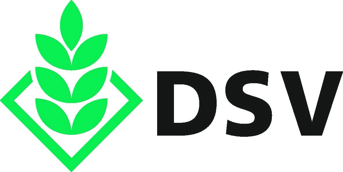 DSV