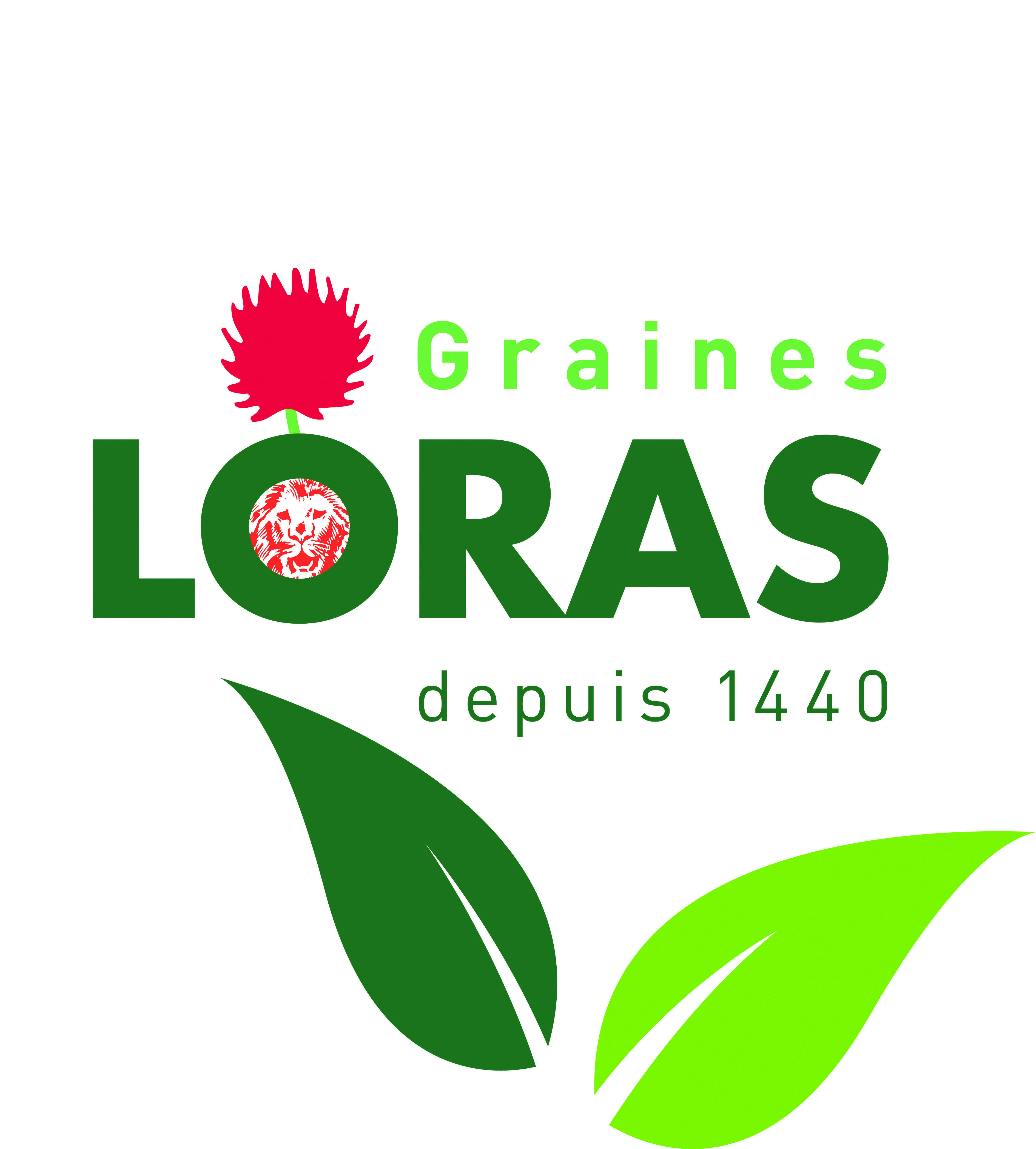 GRAINES LORAS