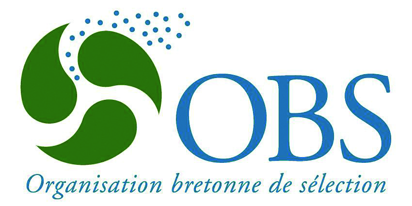 OBS