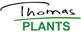 THOMAS PLANTS