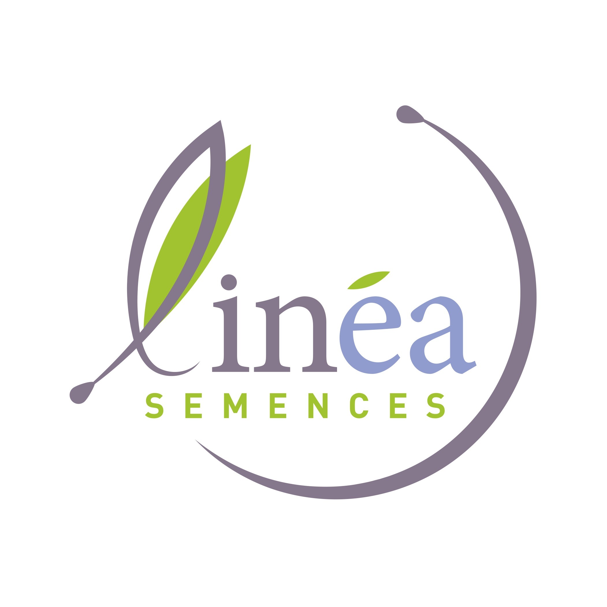 LINEA