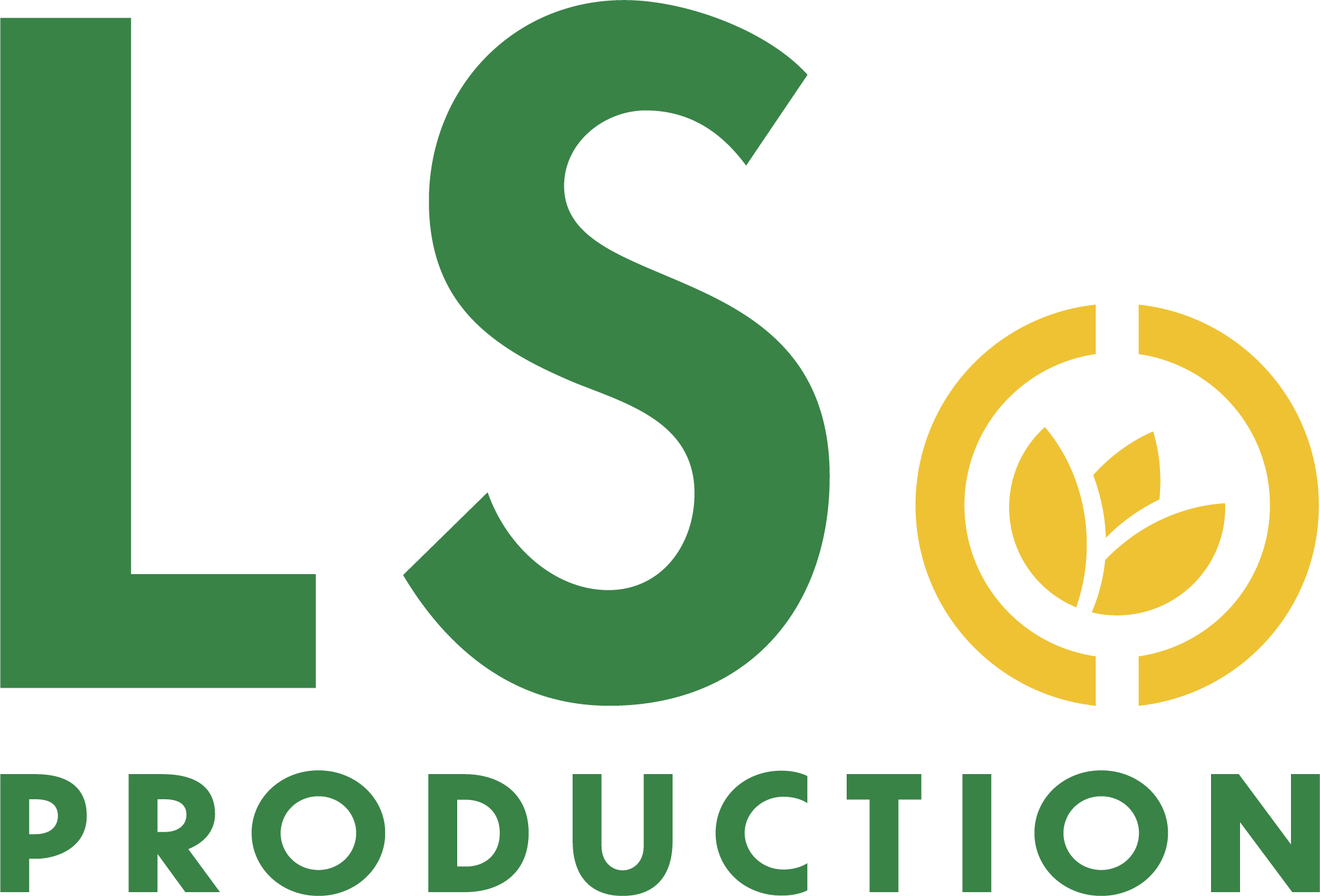 LS PRODUCTION